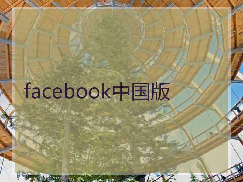 facebook中国版