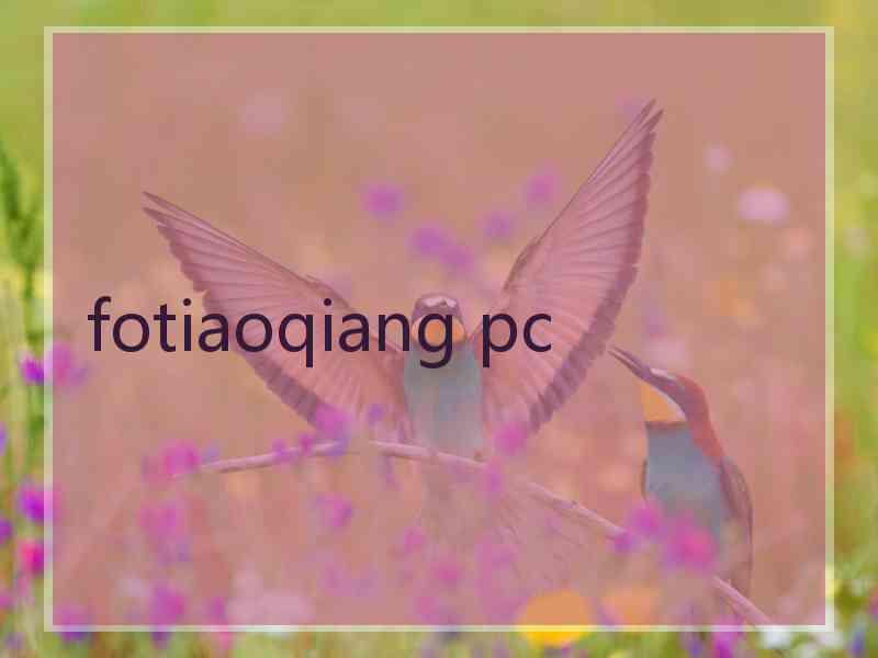 fotiaoqiang pc