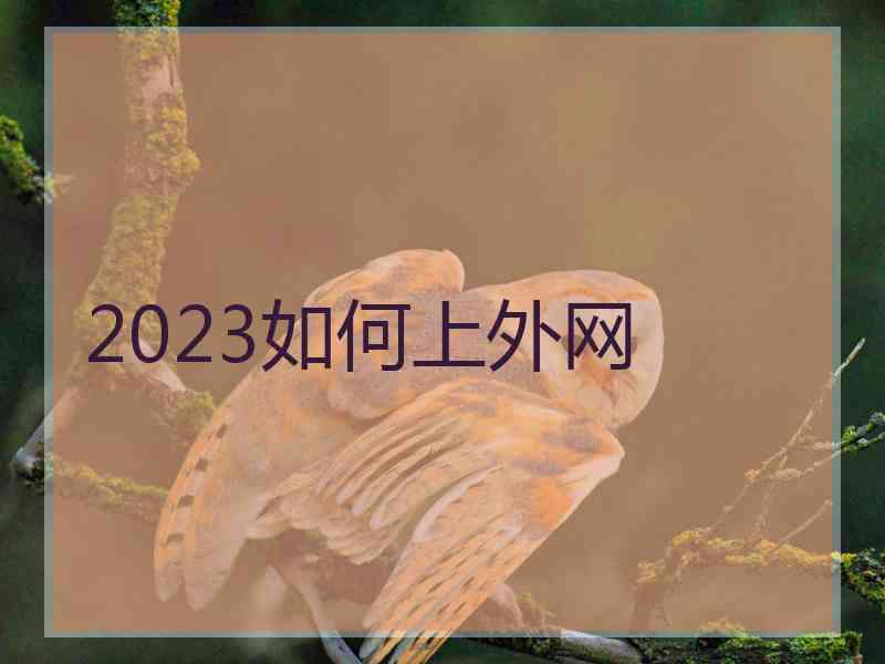 2023如何上外网