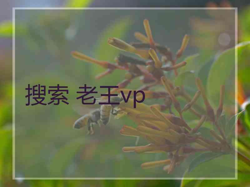 搜索 老王vp