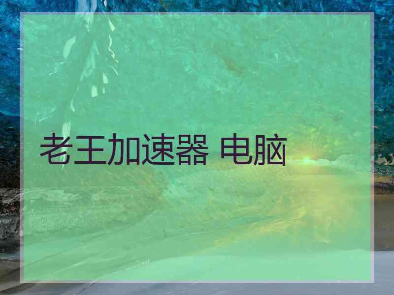 老王加速器 电脑
