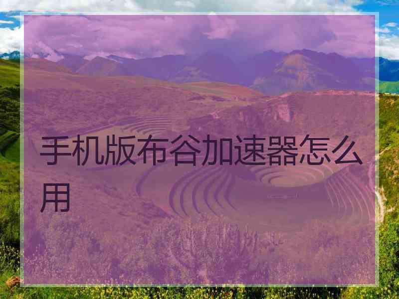 手机版布谷加速器怎么用