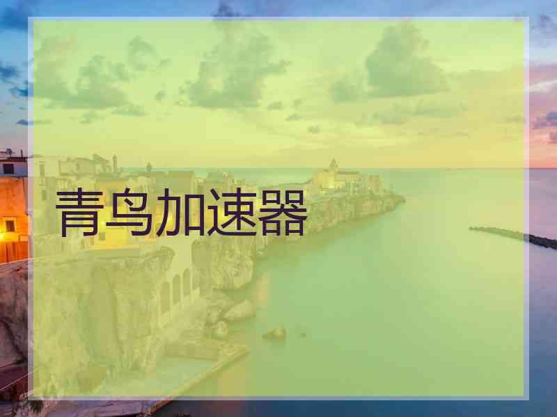 青鸟加速器