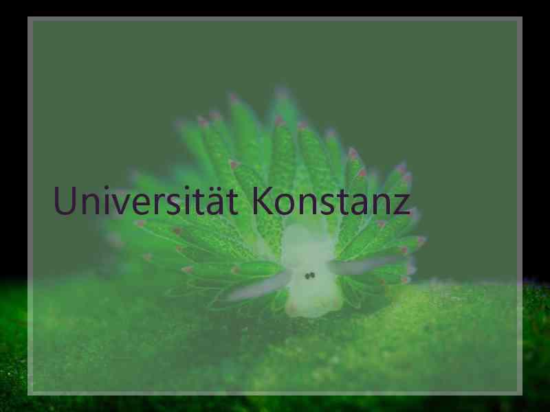 Universität Konstanz