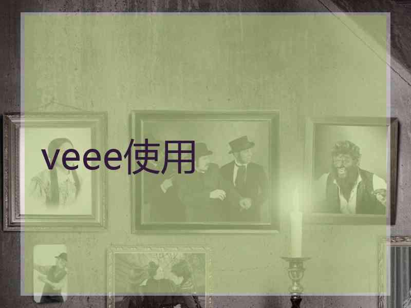 veee使用