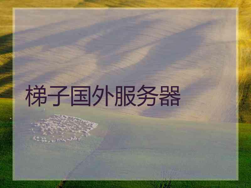 梯子国外服务器