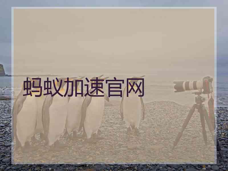 蚂蚁加速官网