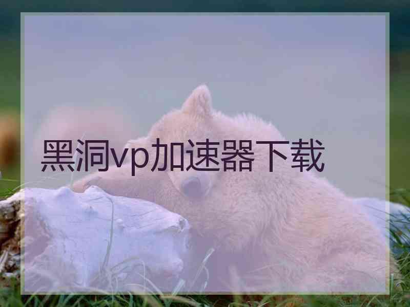 黑洞vp加速器下载