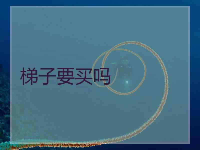 梯子要买吗