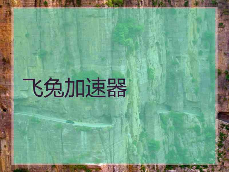 飞兔加速器