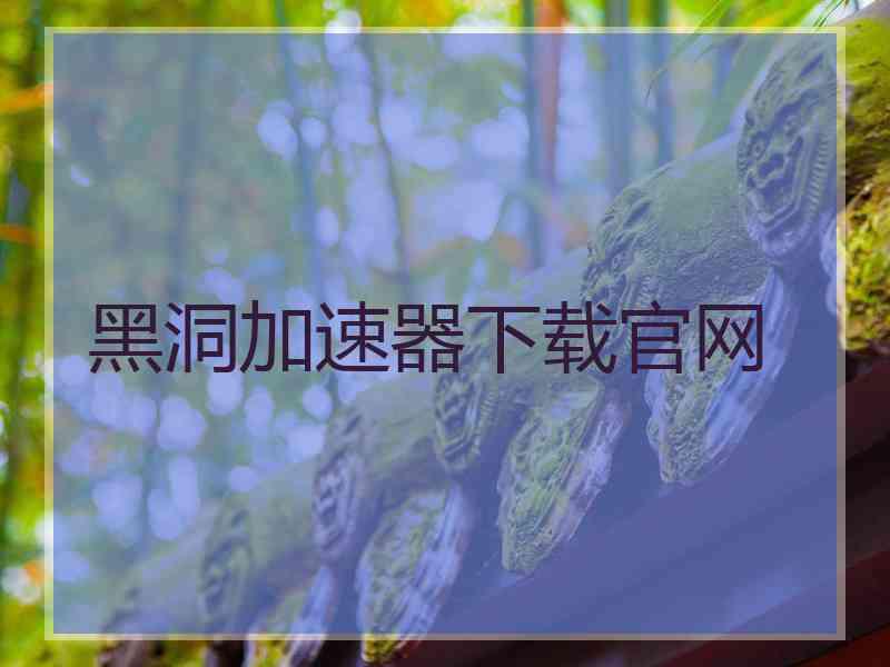 黑洞加速器下载官网