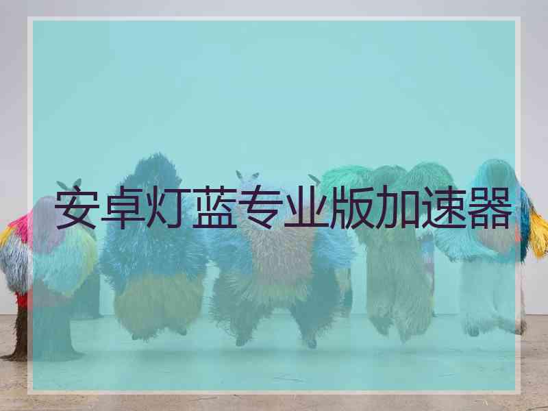 安卓灯蓝专业版加速器