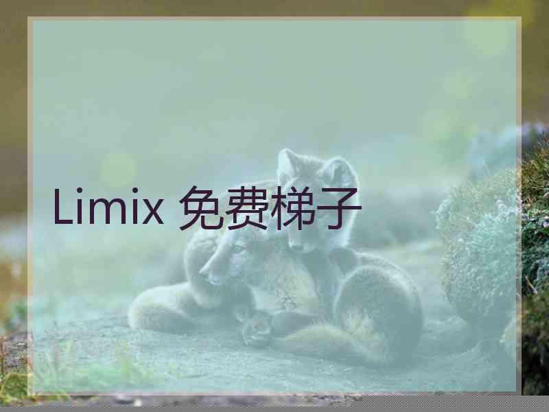 Limix 免费梯子