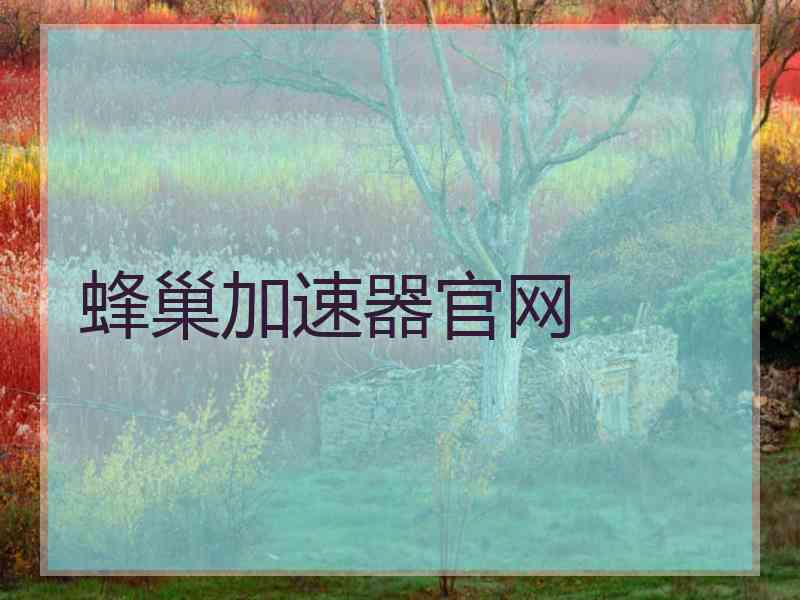 蜂巢加速器官网