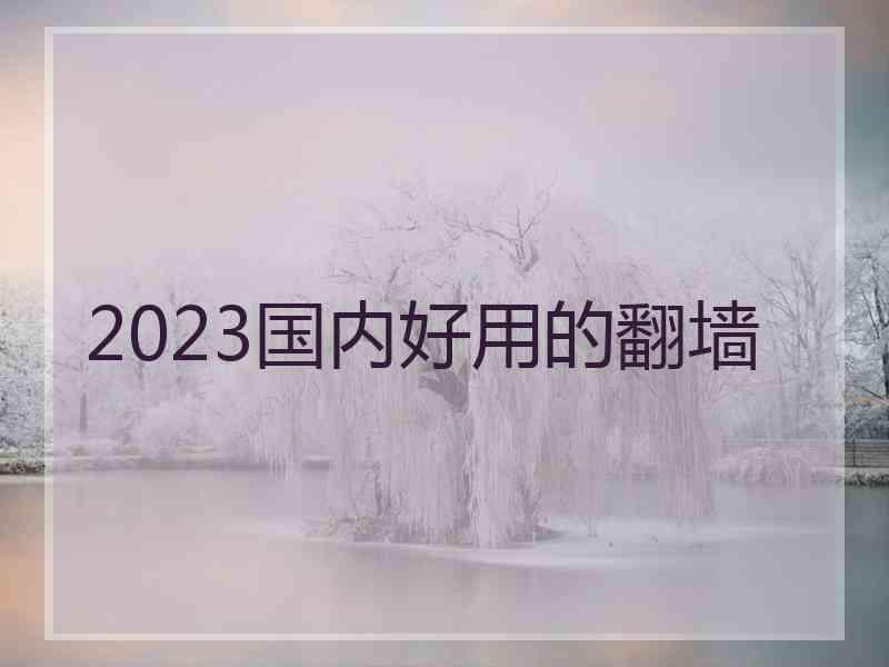 2023国内好用的翻墙