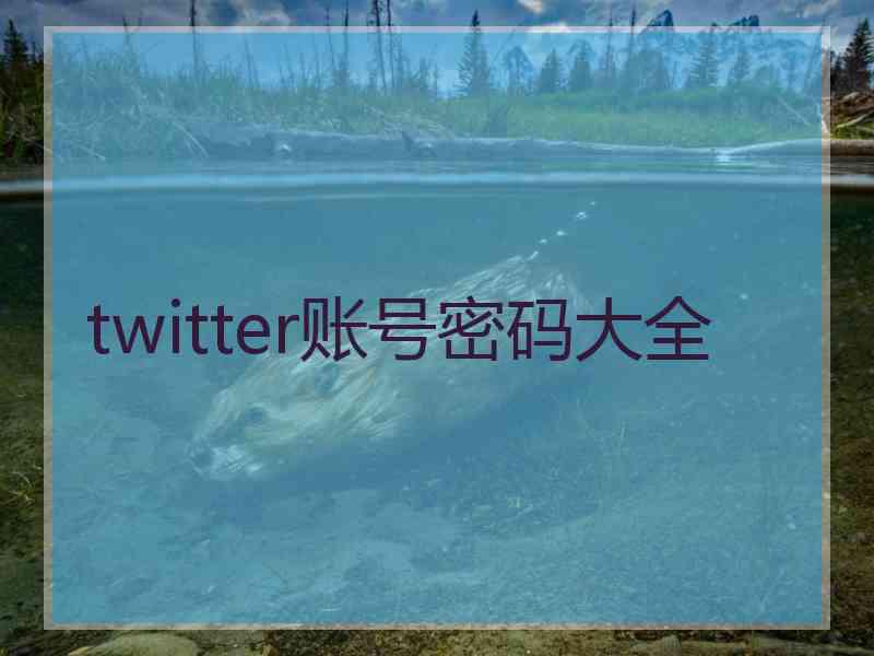 twitter账号密码大全