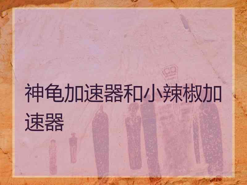 神龟加速器和小辣椒加速器