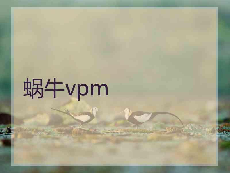 蜗牛vpm