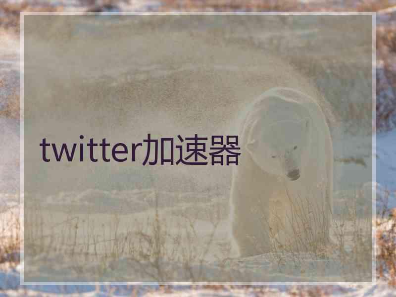 twitter加速器