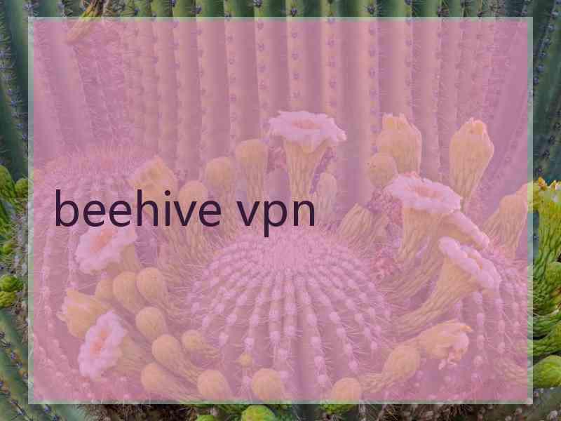 beehive vpn