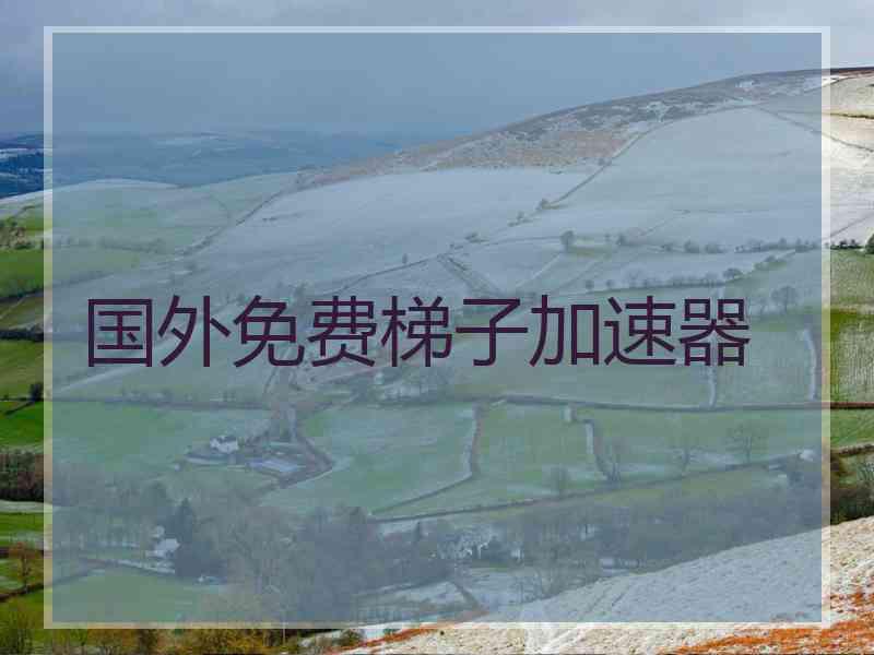 国外免费梯子加速器