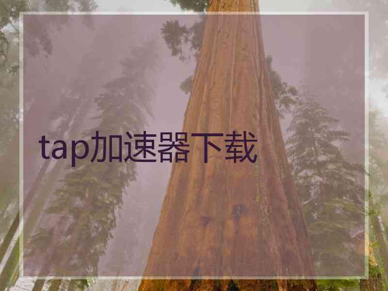 tap加速器下载