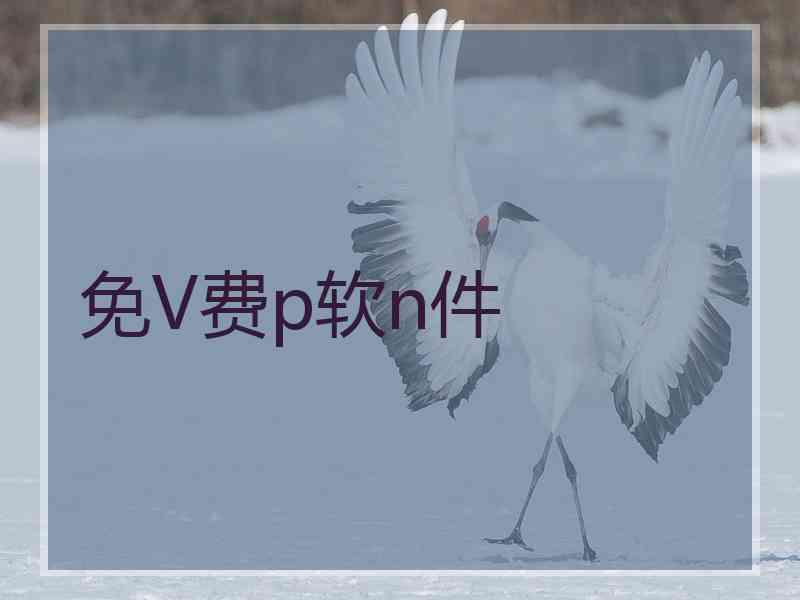 免V费p软n件