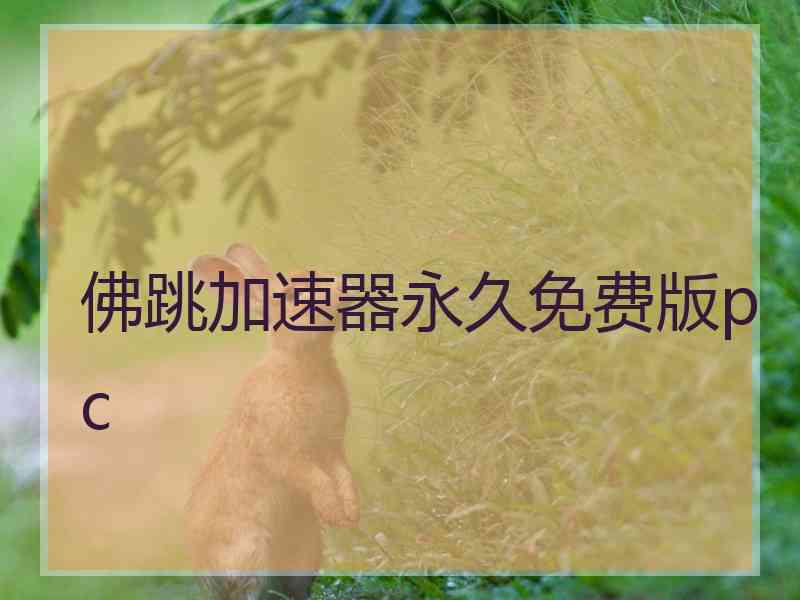 佛跳加速器永久免费版pc