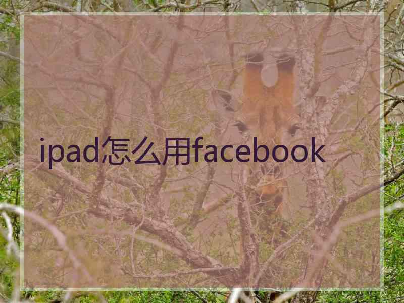 ipad怎么用facebook