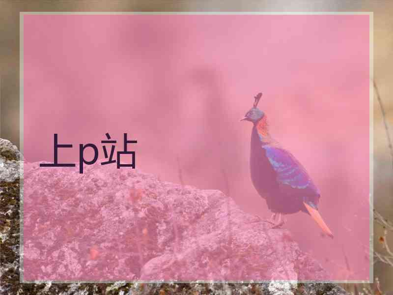 上p站