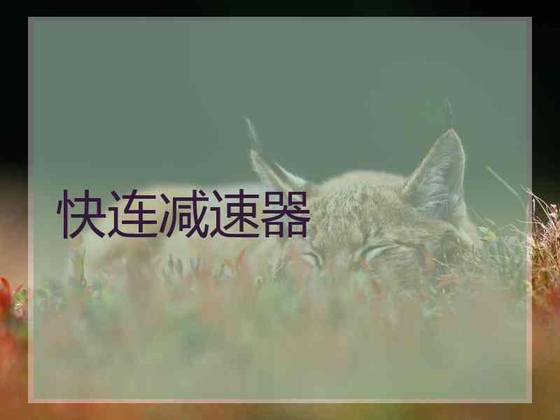 快连减速器