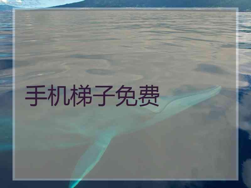 手机梯子免费
