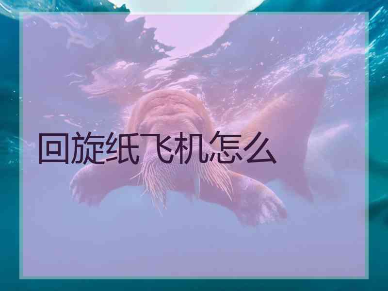 回旋纸飞机怎么