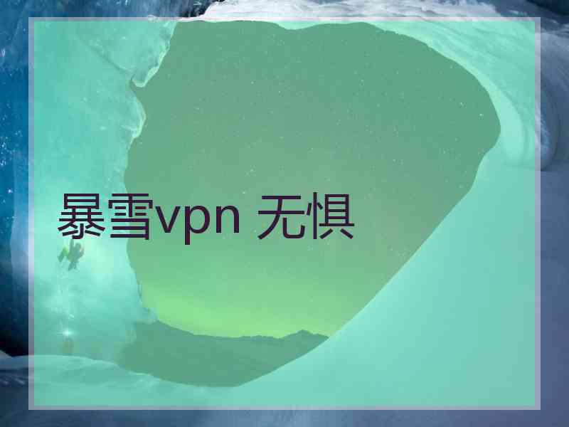 暴雪vpn 无惧