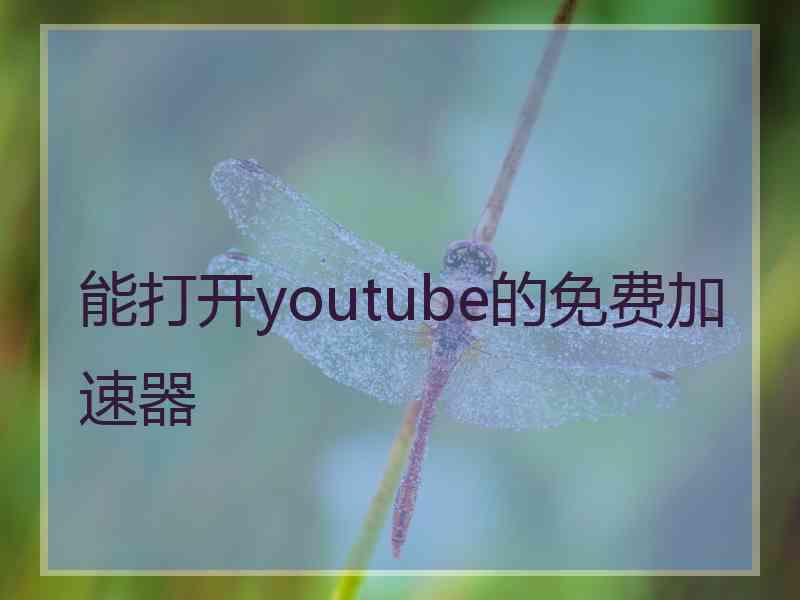 能打开youtube的免费加速器