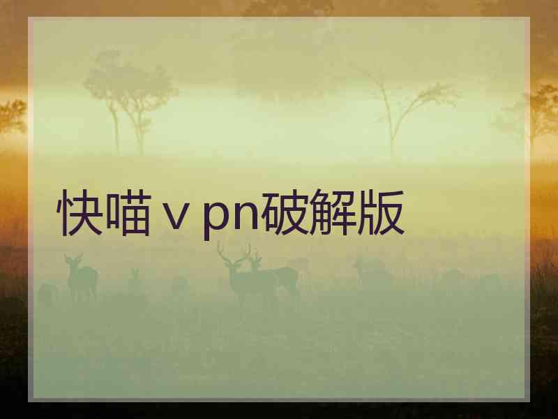 快喵ⅴpn破解版