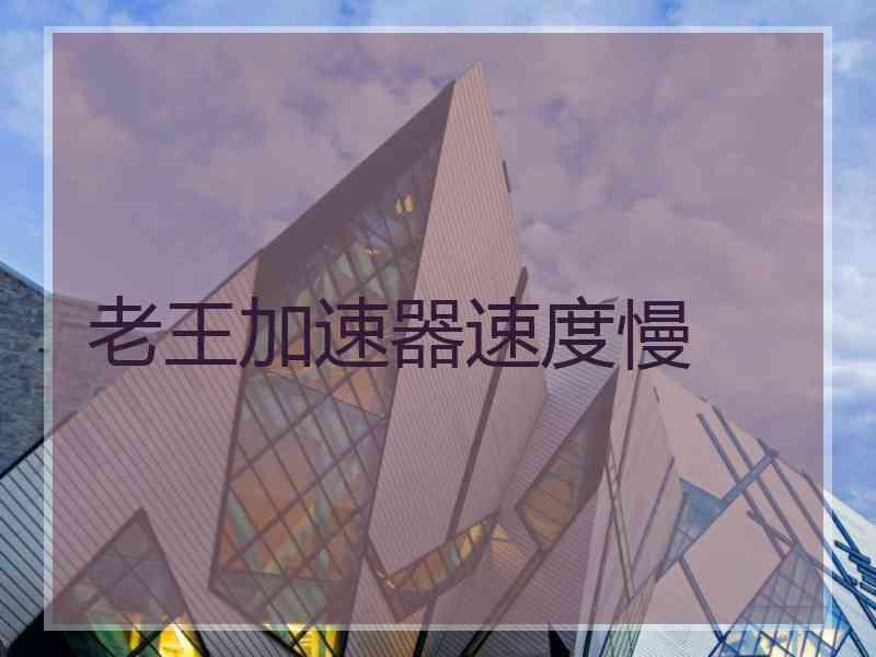老王加速器速度慢