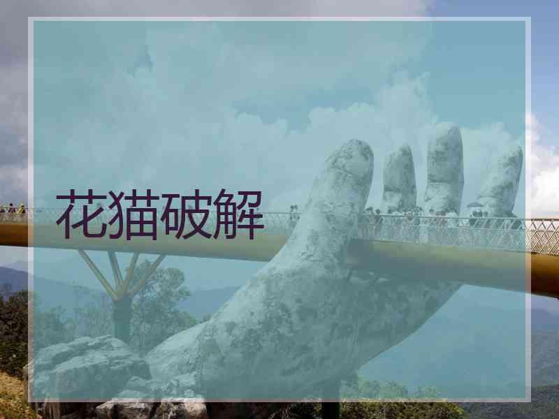 花猫破解