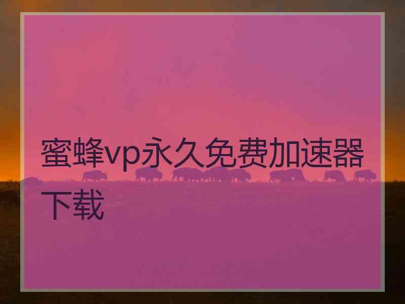 蜜蜂vp永久免费加速器下载