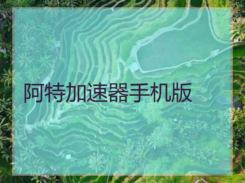 阿特加速器手机版