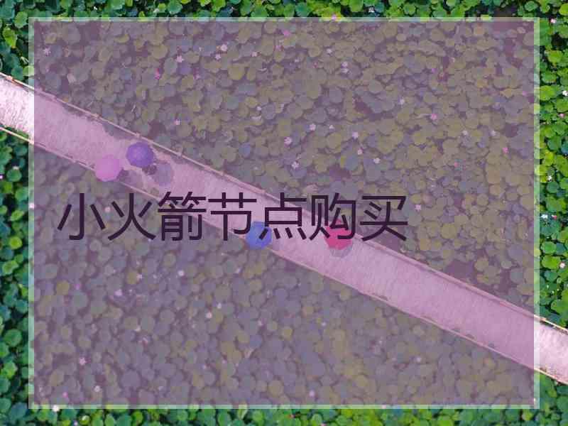 小火箭节点购买
