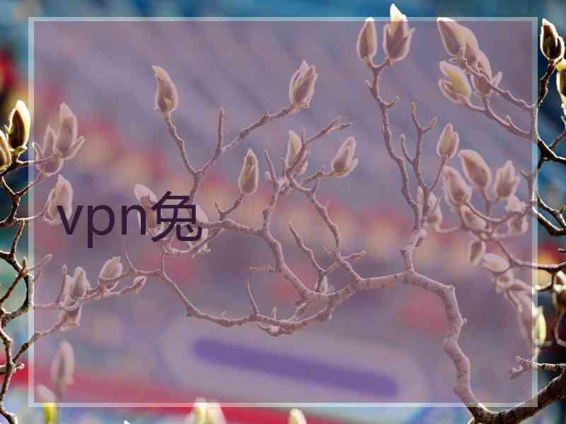 vpn兔