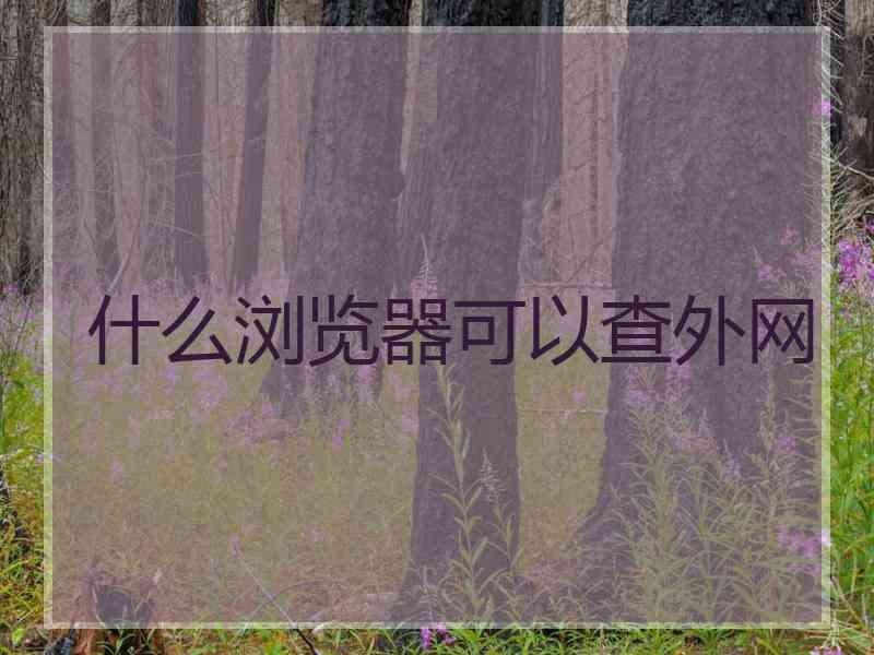 什么浏览器可以查外网