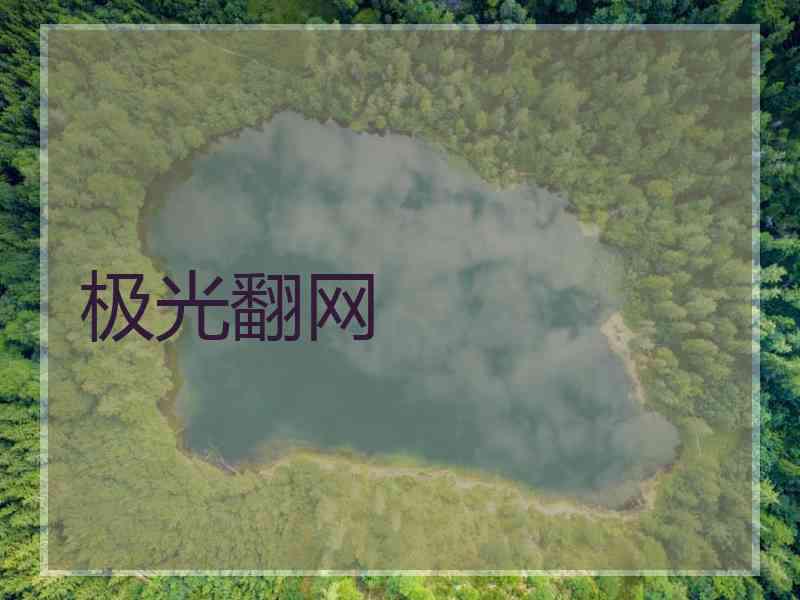 极光翻网