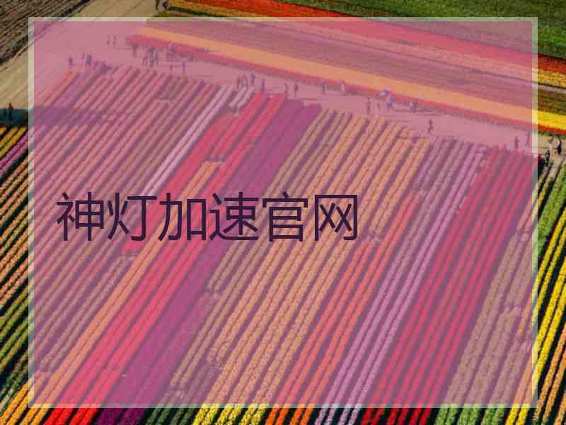 神灯加速官网