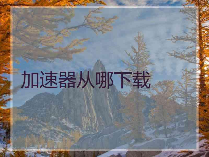 加速器从哪下载