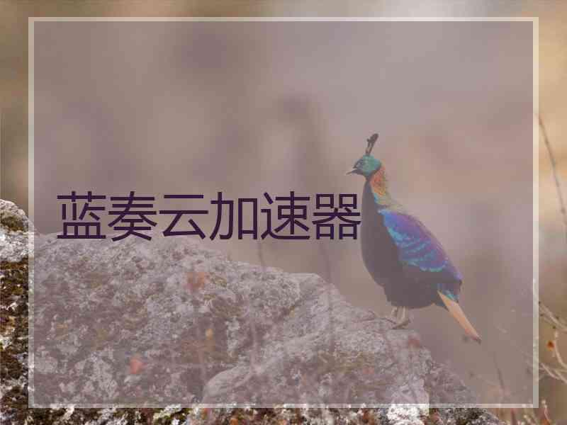 蓝奏云加速器