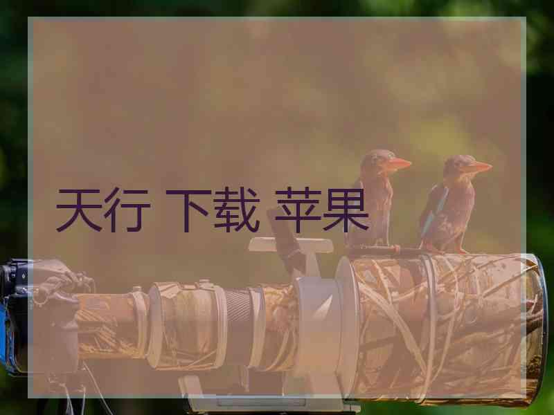 天行 下载 苹果