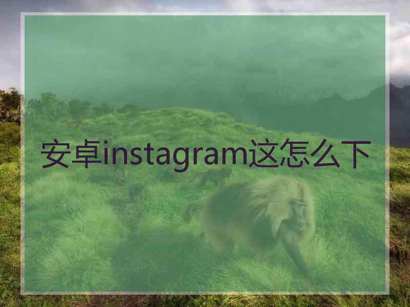 安卓instagram这怎么下