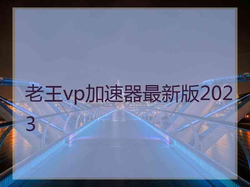 老王vp加速器最新版2023
